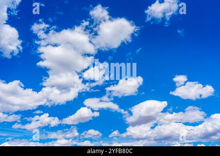 Flauschige weiße Wolken verstreuten sich an einem sonnigen Nachmittag in einer ruhigen Umgebung im Freien an einem hellblauen Himmel Stockfoto