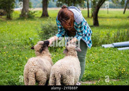 Eine Frau, die sich bückte und zwei Lämmer auf einem grünen Rasen füttert, mit kariertem Hemd und grüner Hose. Stockfoto