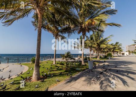 Blick auf den Corniche Park in Jeddah, Saudi-Arabien Stockfoto