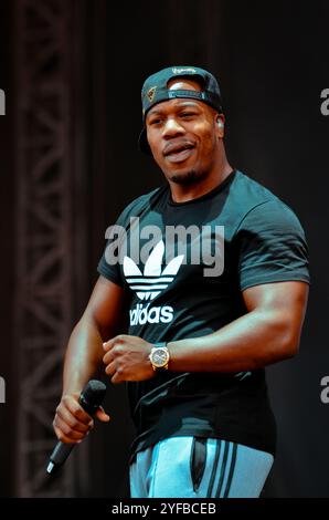 DJ-Schlosser - Rudimental, V2013, Hylands Park, Chelmsford, Essex, Großbritannien - 18. August 2013 Stockfoto