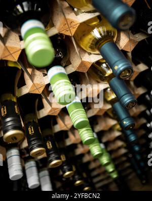 Reihen Rot- und Weißwein in einem modernen Holzregal Stockfoto