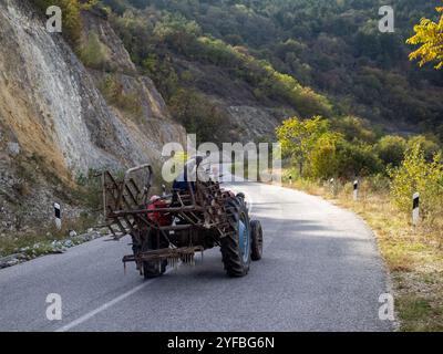 Dichte Waldberglandschaft im Sommer mit kurviger Straße, die durch den Wald führt Stockfoto