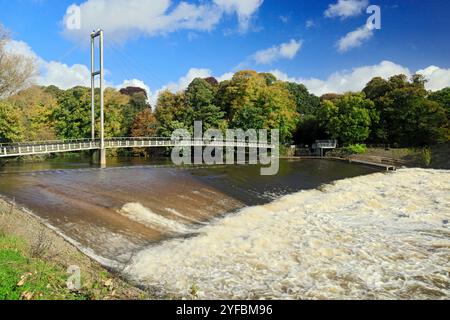 Blackweir Suspension Bridge und River Taff, Pontcanna Fields, Cardiff, Wales. Stockfoto