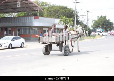 feira de santana, bahia, brasilien - 27. august 2024: Auf einer Straße in Feira de Santana wird ein mit Tieren gezogener Wagen gesehen Stockfoto