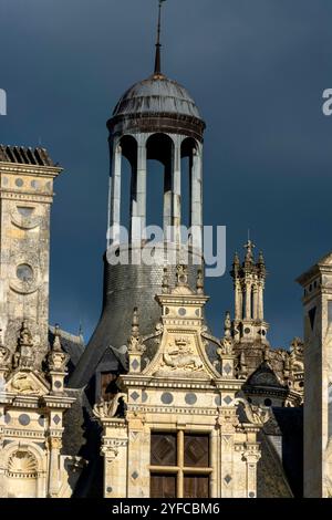 Eure et Loir (41) Vue des toits et des cheminées du Chateau de Chambord // Frankreich. Eure et Loir (41) Die Königliche Schloss von Chambord, Dächer und Schornsteine Stockfoto