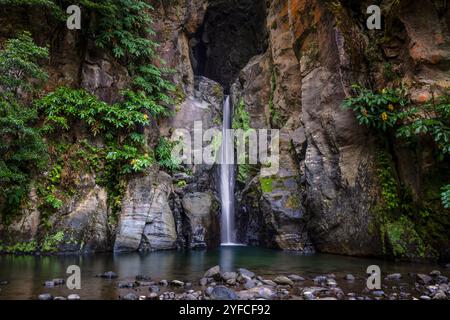 Der Cascata do Salto do Cabrito, versteckt in der üppigen Vegetation von Ribeira Grande, ist ein atemberaubender Wasserfall, der sich durch moosbedeckte Felsen stürzt. Stockfoto