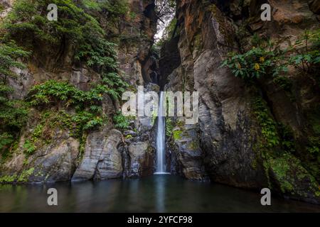 Der Cascata do Salto do Cabrito, versteckt in der üppigen Vegetation von Ribeira Grande, ist ein atemberaubender Wasserfall, der sich durch moosbedeckte Felsen stürzt. Stockfoto