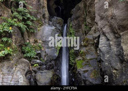 Der Cascata do Salto do Cabrito, versteckt in der üppigen Vegetation von Ribeira Grande, ist ein atemberaubender Wasserfall, der sich durch moosbedeckte Felsen stürzt. Stockfoto