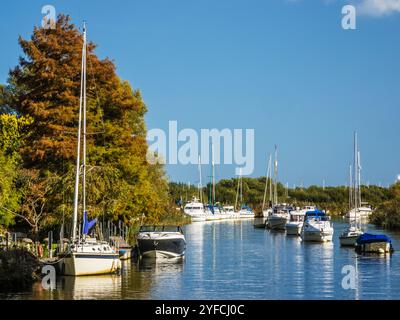 Boote auf dem Fluss Frome bei Wareham in Dorset. Stockfoto