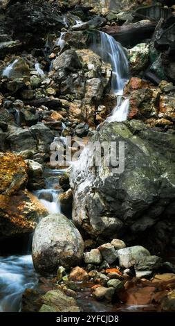 Ein Mini-Wasserfall mit rauschendem Wasser fließt über große Felsen, die mit grünem und braunem Moos bedeckt sind. Mehrere Holzscheite liegen herum. Stockfoto