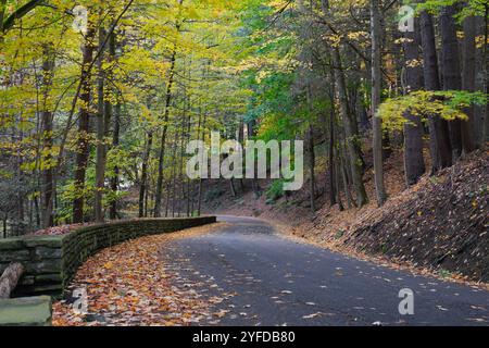 Quiet Road schlängelt sich im Herbst durch den Wald in Upstate New York Stockfoto