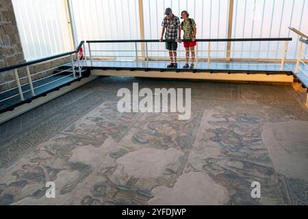 Ausschnitt eines römischen Bodenmosaiks im Haus von Aion, Archäologischer Park von Paphos, Nea Pafos, Paphos, Zypern. Stockfoto