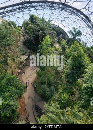 Blick hinunter von der Rainforest Lookout Plattform in der Rainforest Biome Dome im Eden Project, Cornwall, Großbritannien, März. Stockfoto