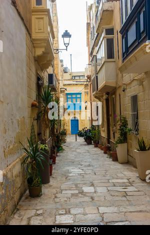 Charmante, enge Gasse mit rustikalen Steinhäusern, Topfpflanzen und einer markanten blauen Tür. Die Szene fängt die friedliche Atmosphäre eines Hist ein Stockfoto