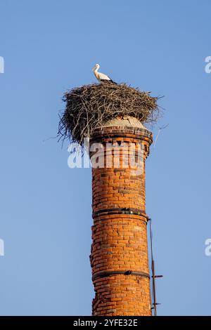 Ein Schornsteinstapel einer stillgelegten Fabrik in Ferragudo, Portugal, mit einem Storch in einem nächsten auf der Spitze Stockfoto