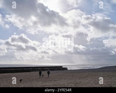 Paare, die mit zwei Hunden am Gorleston-on-Sea Beach Norfolk spazieren gehen Stockfoto