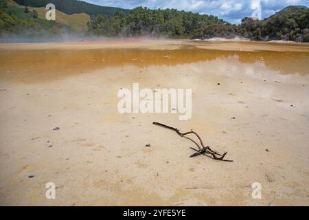 Ein einziger Zweig liegt auf dem getrockneten Teil eines Schwefelsees in Rotorua, Neuseeland Stockfoto