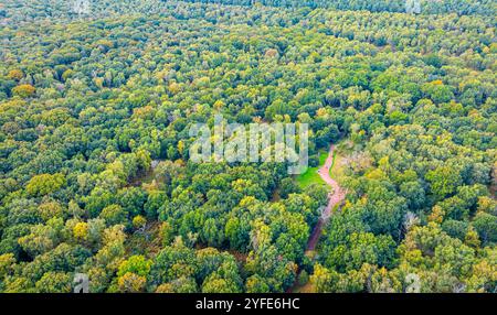 Die Major Oak, eine große englische Eiche in der Nähe des Dorfes Edwinstowe inmitten des Sherwood Forest, Nottinghamshire, England, Großbritannien Stockfoto