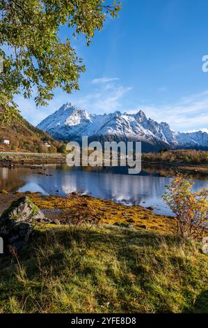 Herbstblick von der Autobahn E10 des Austnesfjorden und Vestpollen mit dem schneebedeckten Berg Higravtindan, ist er der höchste Berg auf der Insel Stockfoto