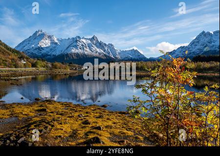 Herbstblick von der Autobahn E10 des Austnesfjorden und Vestpollen mit dem schneebedeckten Berg Higravtindan, ist er der höchste Berg auf der Insel Stockfoto