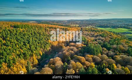 A96 West Road mit Blick auf Elgin Moray Schottland und umgeben von Buchen- und Lärchenbäumen in Herbstfarben Stockfoto