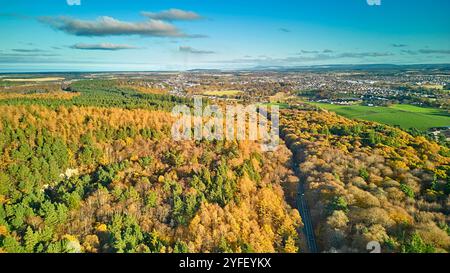 A96 West Road mit Blick auf Elgin Moray Schottland und umgeben von Lärchen in Herbstfarben Stockfoto