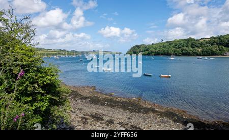 Segelyachten und kleine Motorboote, die in der Mündung des Helford River vor Anker liegen, von Helford Point aus gesehen, Cornwall, Großbritannien, Juni. Stockfoto