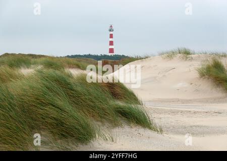 Blick über die Dünen auf den rot-weißen Leuchtturm der niederländischen Insel Ameland Stockfoto