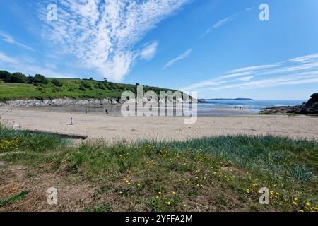 Maenporth Beach, in der Nähe von Falmouth, Cornwall, Großbritannien, Juni 2024. Stockfoto