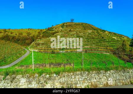 Das schöne Weingut Schloss Neuweier zwischen Sinzheim und Bühl. Baden Württemberg, Deutschland, Europa Stockfoto