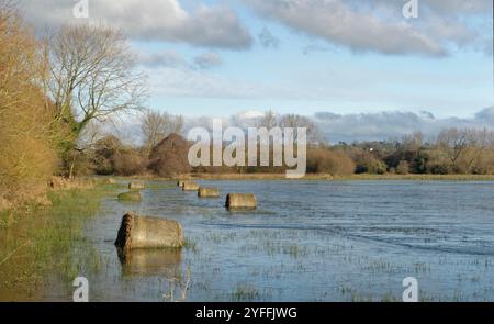 Wasserdurchtrennte Heuballen auf überfluteten, teilweise gefrorenen Weideflächen, Tealham Moor, Somerset Levels, Vereinigtes Königreich, Januar 2024. Stockfoto