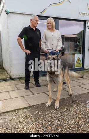 Alan und Sally Dickinson, das Ehemann- und Ehefrau-Team hinter dem Surrey-Unternehmen von Wolf K9, das in einem kleinen, einstöckigen Geschäft in Horley, England, ansässig ist Stockfoto