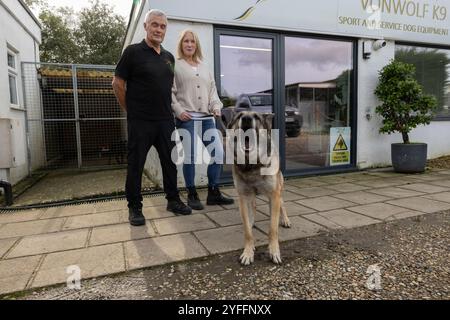 Alan und Sally Dickinson, das Ehemann- und Ehefrau-Team hinter dem Surrey-Unternehmen von Wolf K9, das in einem kleinen, einstöckigen Geschäft in Horley, England, ansässig ist Stockfoto