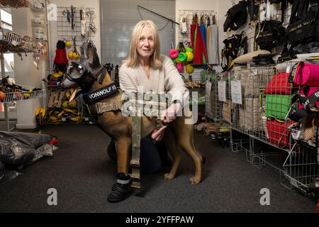 Alan und Sally Dickinson, das Ehemann- und Ehefrau-Team hinter dem Surrey-Unternehmen von Wolf K9, das in einem kleinen, einstöckigen Geschäft in Horley, England, ansässig ist Stockfoto