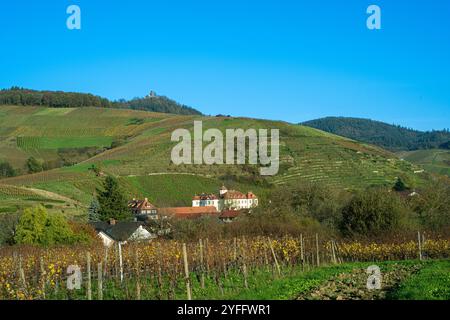 Das schöne Weingut Schloss Neuweier zwischen Sinzheim und Bühl. Baden Württemberg, Deutschland, Europa Stockfoto