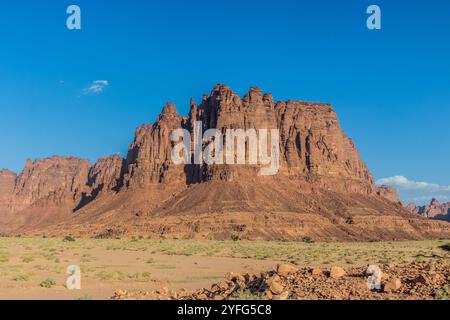 Wadi Disah Canyon, Saudi-Arabien Stockfoto