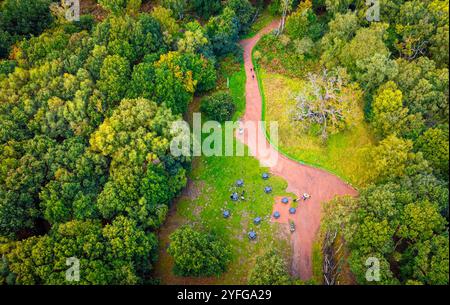 Die Major Oak, eine große englische Eiche in der Nähe des Dorfes Edwinstowe inmitten des Sherwood Forest, Nottinghamshire, England, Großbritannien Stockfoto