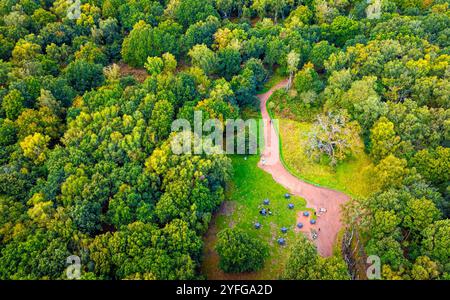 Die Major Oak, eine große englische Eiche in der Nähe des Dorfes Edwinstowe inmitten des Sherwood Forest, Nottinghamshire, England, Großbritannien Stockfoto