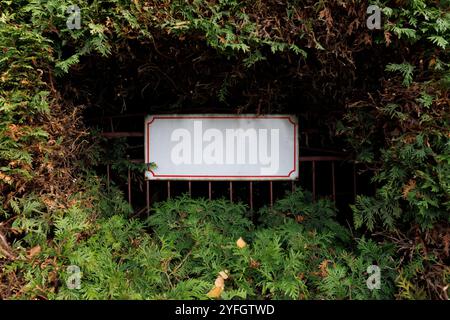 Ein leeres und leeres weißes Straßenschild ist von einer grünen Vegetation aus Büschen und Sträuchern umgeben. Stockfoto