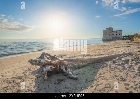 Torre Mozza Strand und ein Kofferraum mit einem alten Gebäude am Meer. Follonica, Provinz Grosseto, Region Toskana, Italien Stockfoto