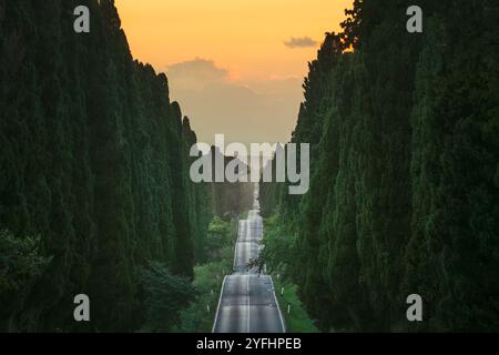 Die von Zypressen gesäumte Allee von Bolgheri bei Sonnenuntergang. Dies ist der historische Boulevard von Carduccis Poesie Davanti San Guido. Alta Maremma, Toskana regi Stockfoto