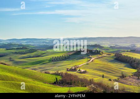 Landschaft und eine Straße auf der Crete Senesi. Asciano, Provinz Siena, Region Toskana, Italien Stockfoto