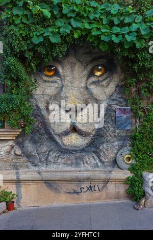 Nahaufnahme eines abgerundeten Löwenkopfes mit einer Mähne aus Efeu am Eingang der Werkstatt Ali Shamsi in Baku, Aserbaidschan Stockfoto