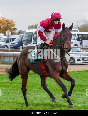 Die Royal Racecourse, Lisburn, Nordirland. November 2024. Ladbrokes Festival of Racing (Tag 1) - die BOTTLEGREEN HÜRDE (KLASSE 3). Rennpferd Brighterdaysahead (6) wurde von Jockey Sam Ewing gefahren und von Gordon Elliott trainiert. Stockfoto