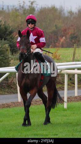 Die Royal Racecourse, Lisburn, Nordirland. November 2024. Ladbrokes Festival of Racing (Tag 1) - die BOTTLEGREEN HÜRDE (KLASSE 3). Rennpferd Brighterdaysahead (6) wurde von Jockey Sam Ewing gefahren und von Gordon Elliott trainiert. Stockfoto