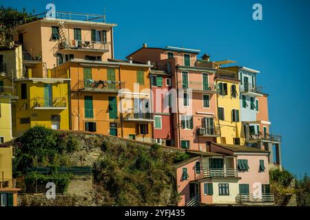 Blick auf die farbenfrohen Häuser von Manarola, auf einem hohen Felsen 70 Meter über dem Meeresspiegel gebaut, Cinque Terre, Provinz La Spezia, Teil der Region L Stockfoto