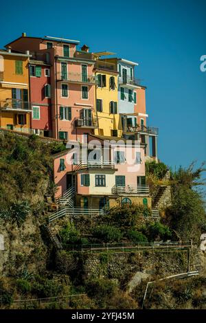 Blick auf die farbenfrohen Häuser von Manarola, auf einem hohen Felsen 70 Meter über dem Meeresspiegel gebaut, Cinque Terre, Provinz La Spezia, Teil der Region L Stockfoto