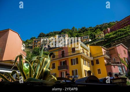 Straßenszene mit farbenfrohen Häusern von Manarola, Cinque Terre, Provinz La Spezia, Teil der Region Ligurien, Norditalien. Stockfoto
