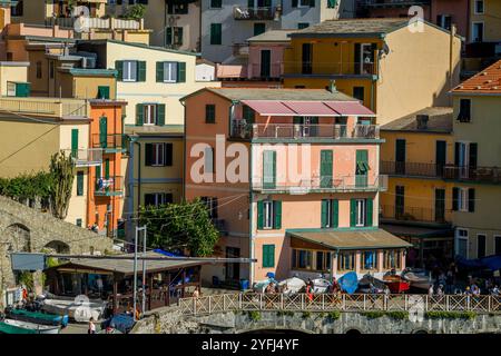 Blick auf farbenfrohe Häuser rund um den winzigen Hafen von Manarola, Cinque Terre, Provinz La Spezia, Teil der Region Ligurien, Norditalien. Stockfoto