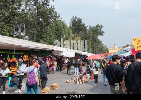 Geschäftige Marktszene im Centro de Xochimilco, mit Händlern, Käufern und farbenfrohen Dekorationen, die die Dia de Muertos-Feste feiern. Stockfoto